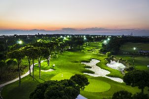 몽고메리 맥스 로열