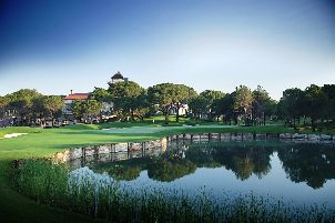 몽고메리 맥스 로열