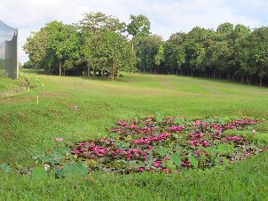 술탄 살레후딘 움(UUM) 골프 클럽