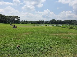 클리어워터 생추어리 골프 리조트 