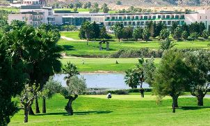 비야마르틴 골프 클럽 (P3)