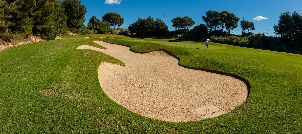 로 로메로 골프