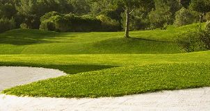 안드라츠 골프장 (P3)