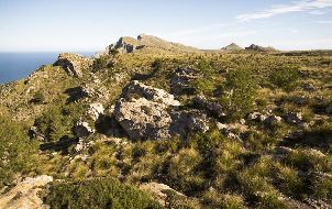 카프데페라 골프 (P2)