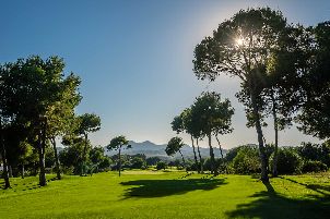 손 세베라 골프 클럽 (P2)