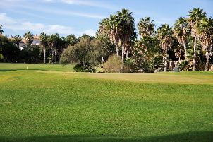 알리칸테 골프 (P2)