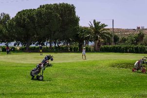 보날바 골프 (P2)