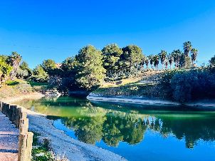 알하우린 골프 (P3)