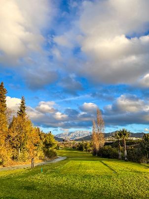 바비에라 골프 (P2)  