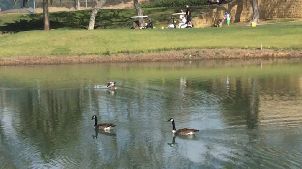 로스 나란호스 골프 클럽