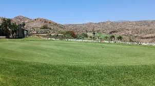 살로브레 골프 & 리조트 - 올드 코스