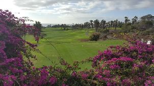 골프 델 수르 (P3)