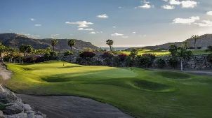 안피 타우로 골프 (P3)