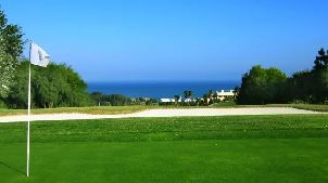 도나 줄리아 골프 클럽 (P3)