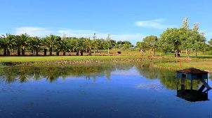 베헤르 데 라 프론테라