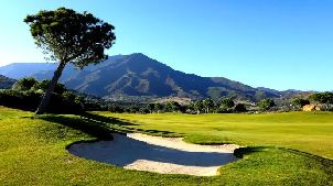 발레 로마노 골프 (P3)