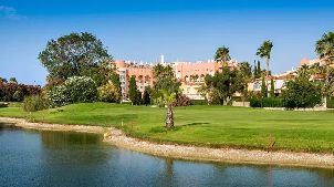 올리바 노바 골프 클럽 (P3)