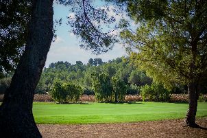 엘 보스케 골프 클럽