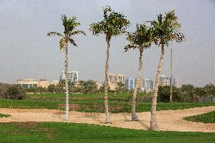 타워 링크스 골프 클럽