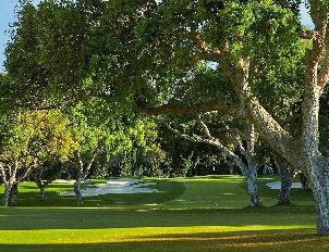 레알 골프 클럽 발데라마 (P2)