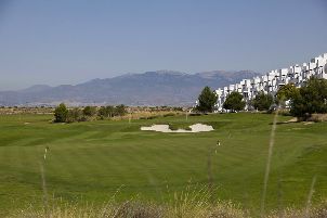 알하마 시그니처 골프