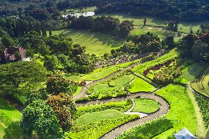 구눙 게울리스 컨트리 클럽 - 이스트 코스