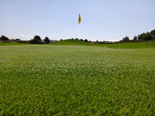 알하마 시그니처 골프