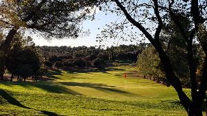 골프 오피오 발본