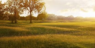 골프 오피오 발본 (P2)