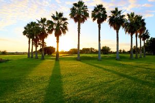 과달호르세 골프 클럽 (P2)