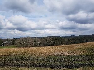 골프 앤 컨트리 클럽 그라펜호프  