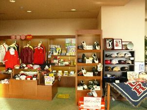 아리타 리솔 골프 클럽 (아리타 토큐)