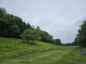 토마코마이 아이리스 코스