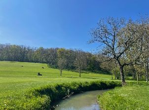 골프 드 샹파뉴