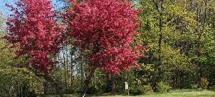 베르겐-호네 골프클럽