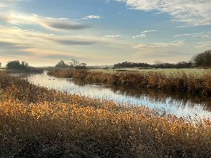 골프클럽 뷔섬 디트마르셴
