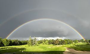 골프 뒤 보졸레