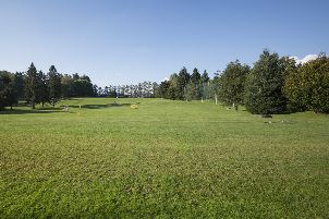 파노라마 골프 (P2)