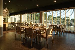 골프 레이다 & 컨트리 클럽