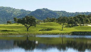 에어 골프 클럽