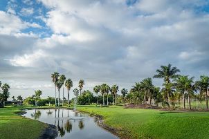 골프 로스 팔로스