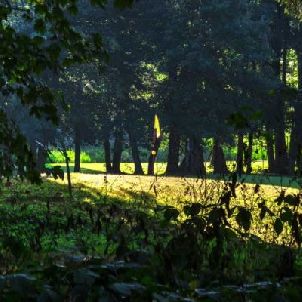 숌버그 골프 클럽