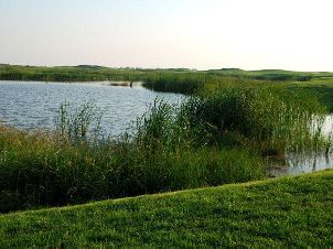 차오페이뎬 습지 국제 골프클럽