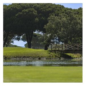 레알 노보 산티 페트리 골프 클럽