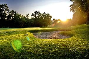 타이난 골프 클럽