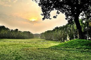 타이난 골프 클럽